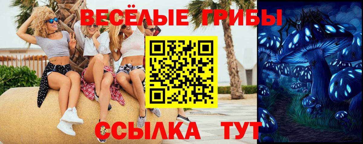 хочу наркоту  Галлюциногенные грибы Psilocybine cubensis  Вход с VPN  Благовещенск 